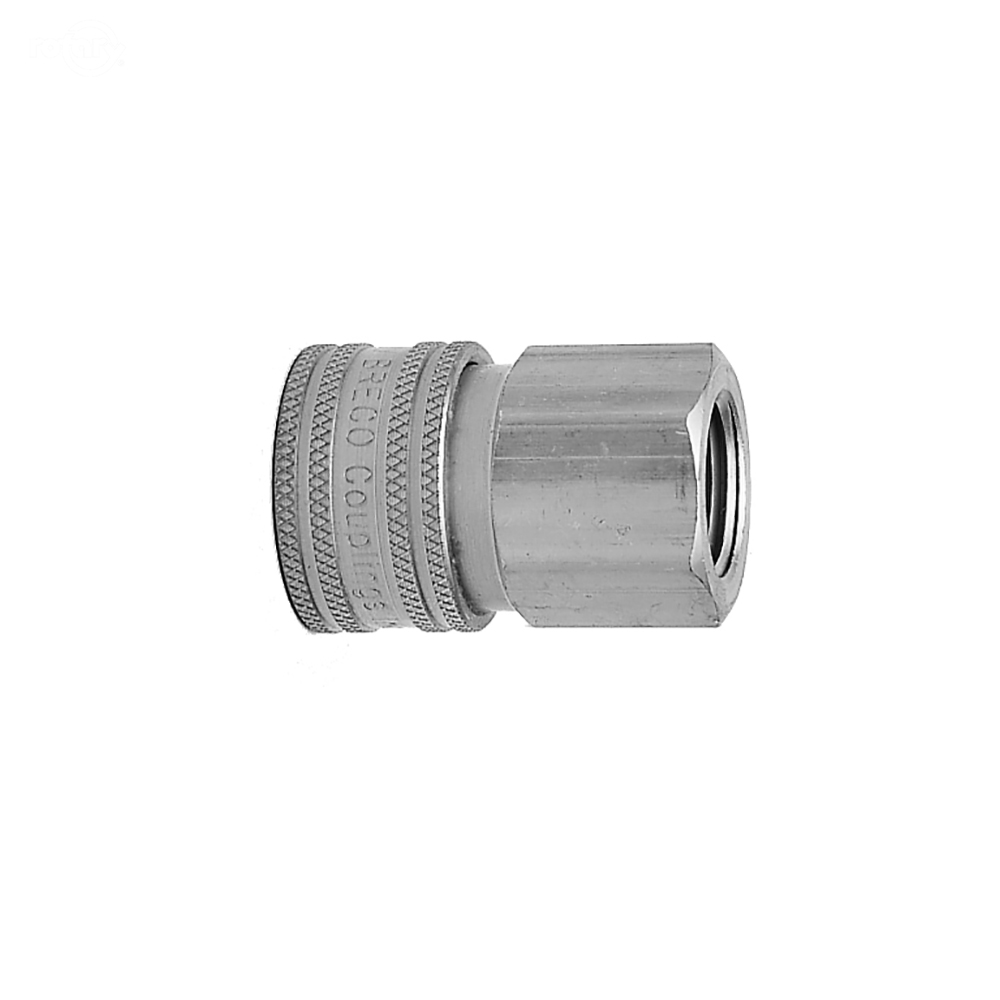 9420-BRASS SOCKET FPT 1/4"
